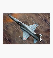 F5 - Tiger Photographic Print