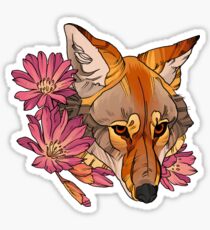 Coyote Sticker