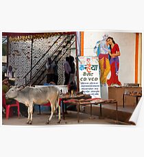 Holy Cow! Poster