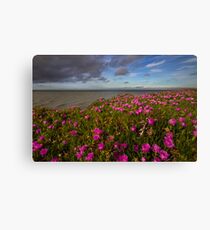 Sky, Sea, and Earth Canvas Print