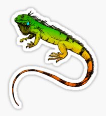 Pegatina Iguana verde