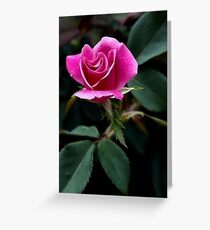 Lydia Greeting Card