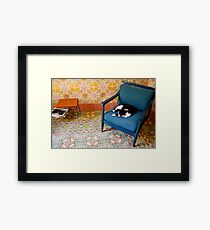Sleeping Cat Framed Print