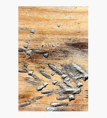 Altered Reality Photographic Print