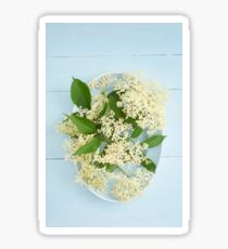 Elderflowers on a blue plate Sticker