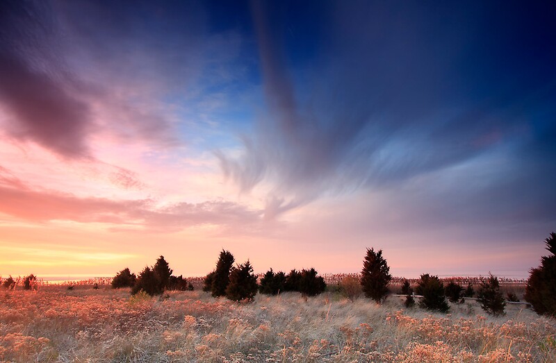 "Cape Cod Blue and Gold Sunset" by Artist Dapixara Redbubble
