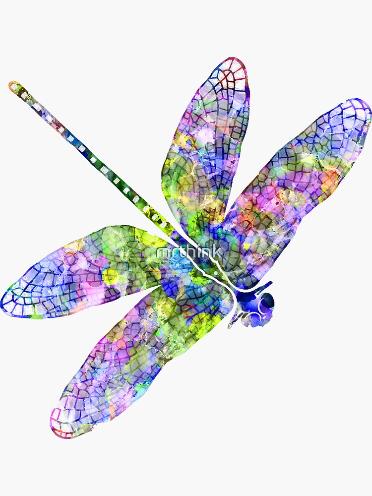 Dragonfly by mrthink