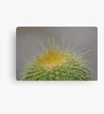 Spike Canvas Print