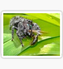 Said the Spider to the Wasp Sticker