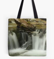 Double Beauty Tote Bag