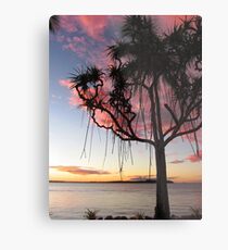 Pandanus Palms Metal Print