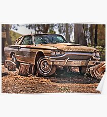 Very old Thunderbird, among the tree's Poster