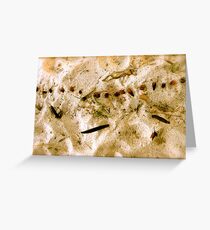 Beach Landscape Greeting Card