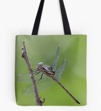 Emrald Banded Skimmer Tote Bag