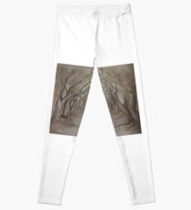 Plantation Leggings