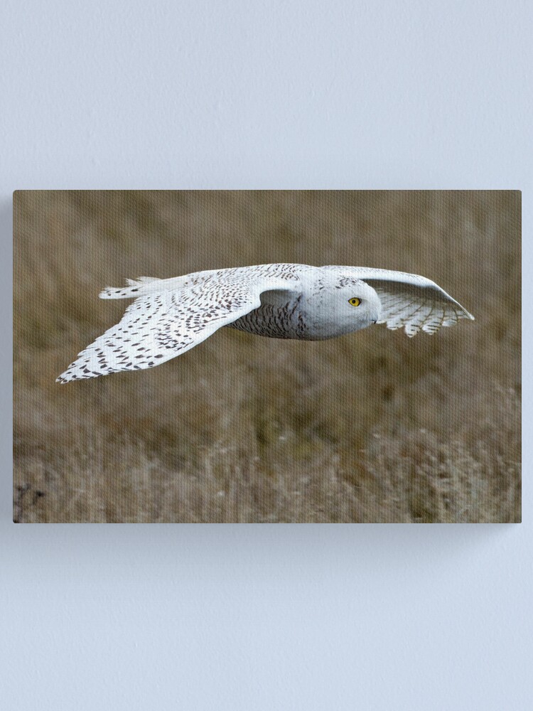 Alternate view of The Patient Hunter Canvas Print