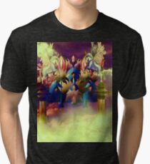 Fairyland Tri-blend T-Shirt