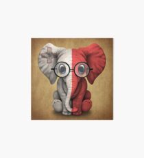 Baby Elephant with Glasses and Maltese Flag Art Board