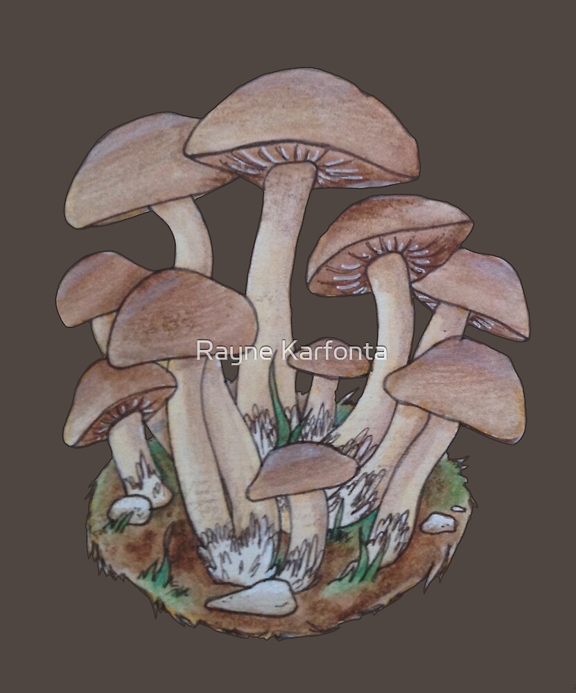 "Mushroom Cluster " by Rayne Karfonta Redbubble