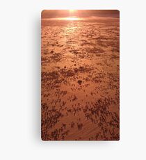 Beachscape Canvas Print
