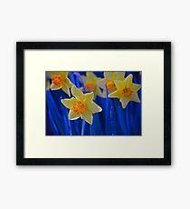 Daffodils Framed Print