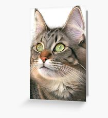 Mesmerised Greeting Card