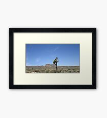 Desert Framed Print