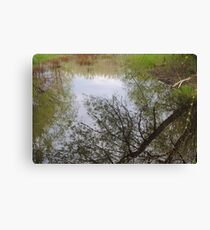 Mirror, Mirror Canvas Print
