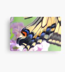 Magic Carpet Canvas Print