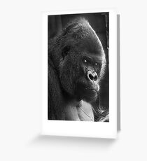 Gorilla Stare Greeting Card