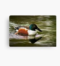 Unusual Encounter Canvas Print