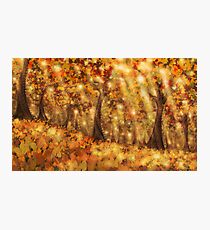 Autumn Dream Photographic Print