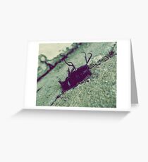 Exterminate Greeting Card