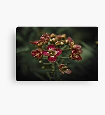 Flower Blossoms Canvas Print