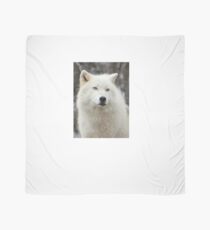 Arctic Wolf Close Up Scarf