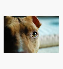 Pit Photographic Print