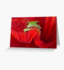 RED Greeting Card