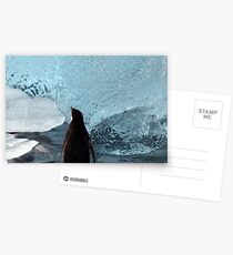 Penguin Ice Postcards