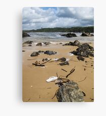 lost jandal Canvas Print
