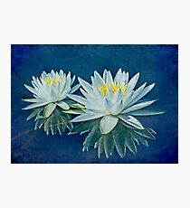 Two Lilies Photographic Print