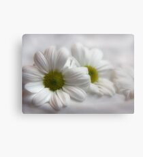 White on White Canvas Print