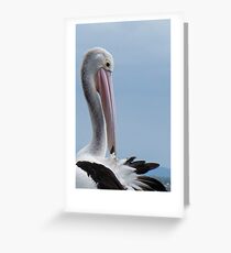 the pelican Greeting Card