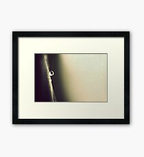 Clarity Framed Print