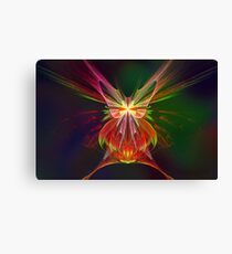 Apophysis Butterfly Canvas Print