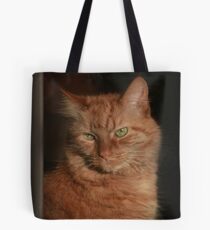 Inside Looking Out ~ Tote Bag