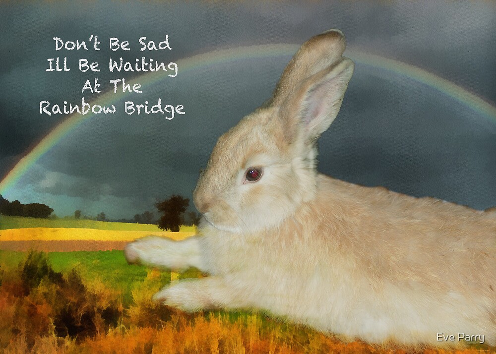 "Sympathy Card For Loss Of Pet Rabbit." by Eve Parry