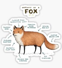 Anatomy of a Fox Sticker