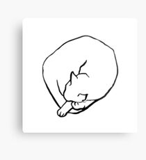 Sleeping Cat Metal Print