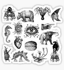 Cabinet of curiosities Sticker