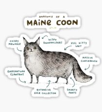 Anatomy of a Maine Coon Sticker